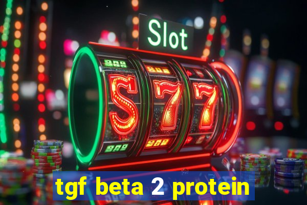 tgf beta 2 protein